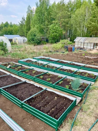 Наши работы 12